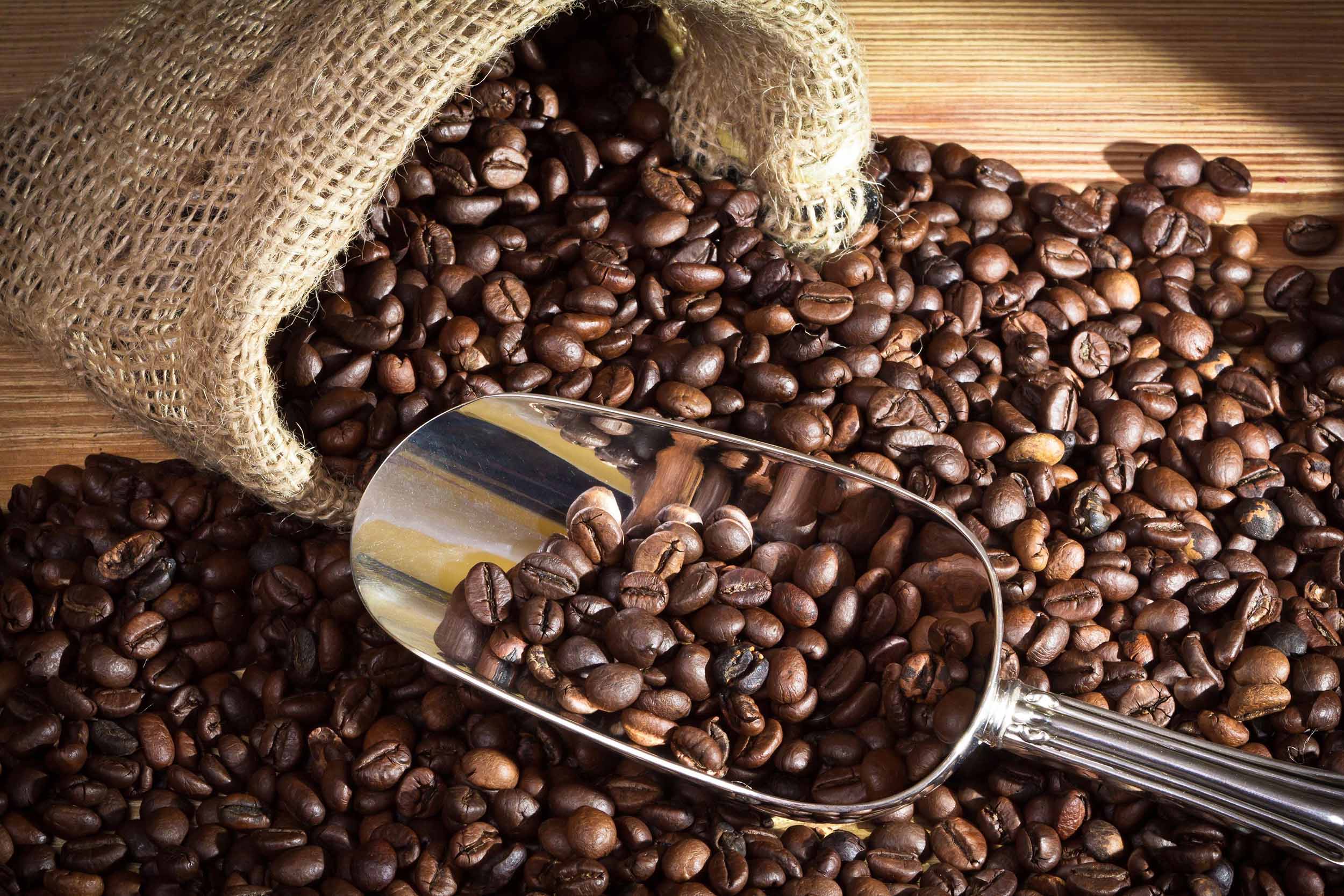 Coffee beans 2500x1667